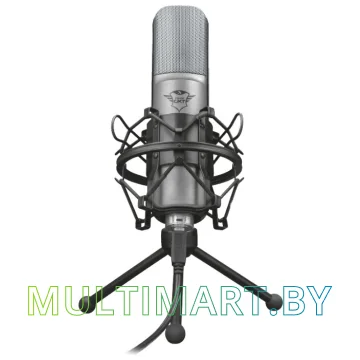Микрофон Trust GXT 242 Lance